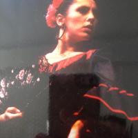 Leslie 1992
